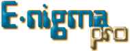 [Pro]